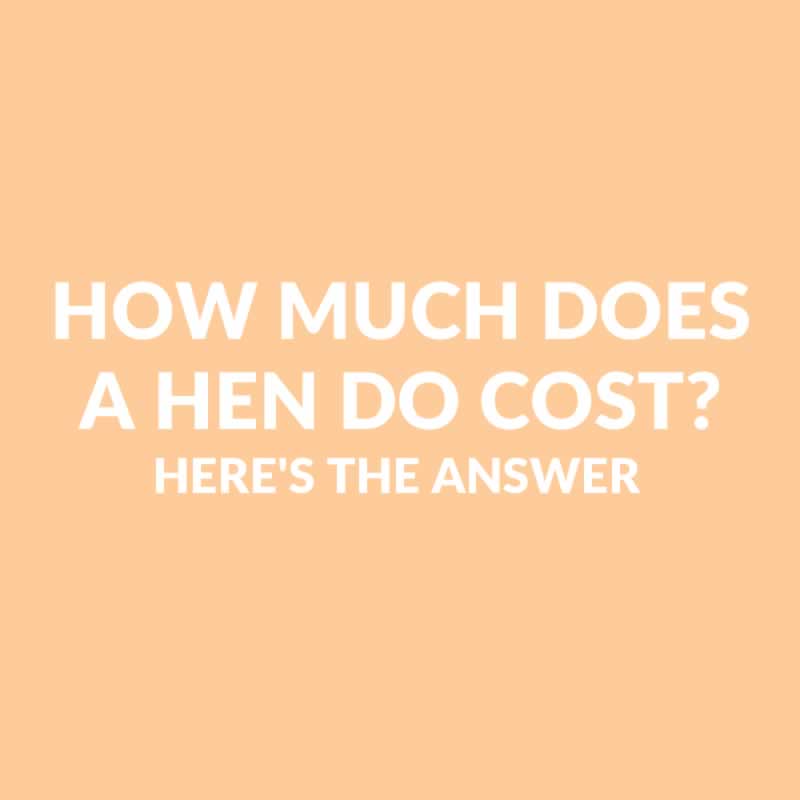 How Much Does A Hen Do Cost? Here's The Answer